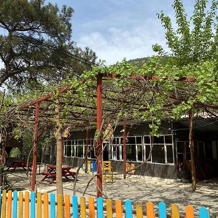 Olympos Camlik Pension Luaran gambar