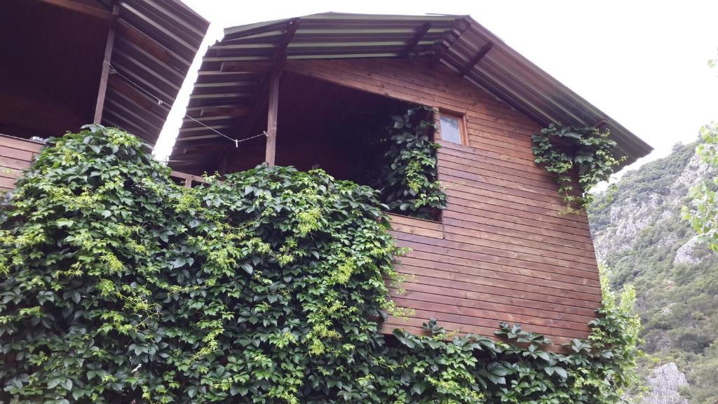 Olympos Camlik Pension Luaran gambar