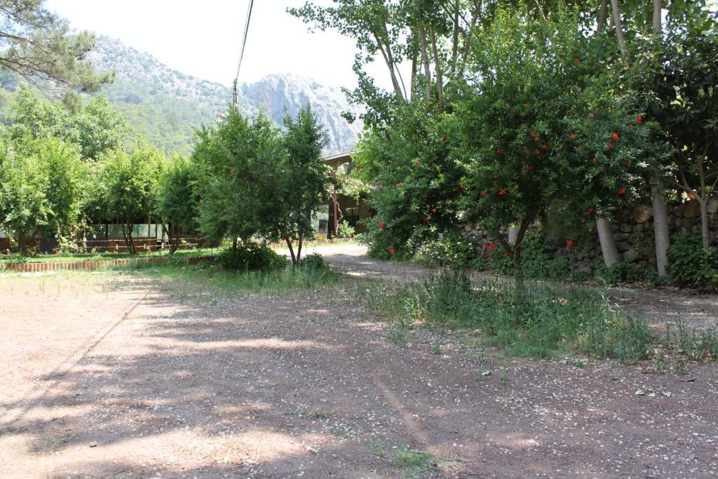 Olympos Camlik Pension Luaran gambar