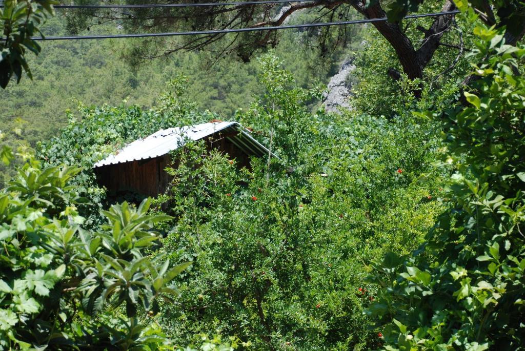 Olympos Camlik Pension Luaran gambar