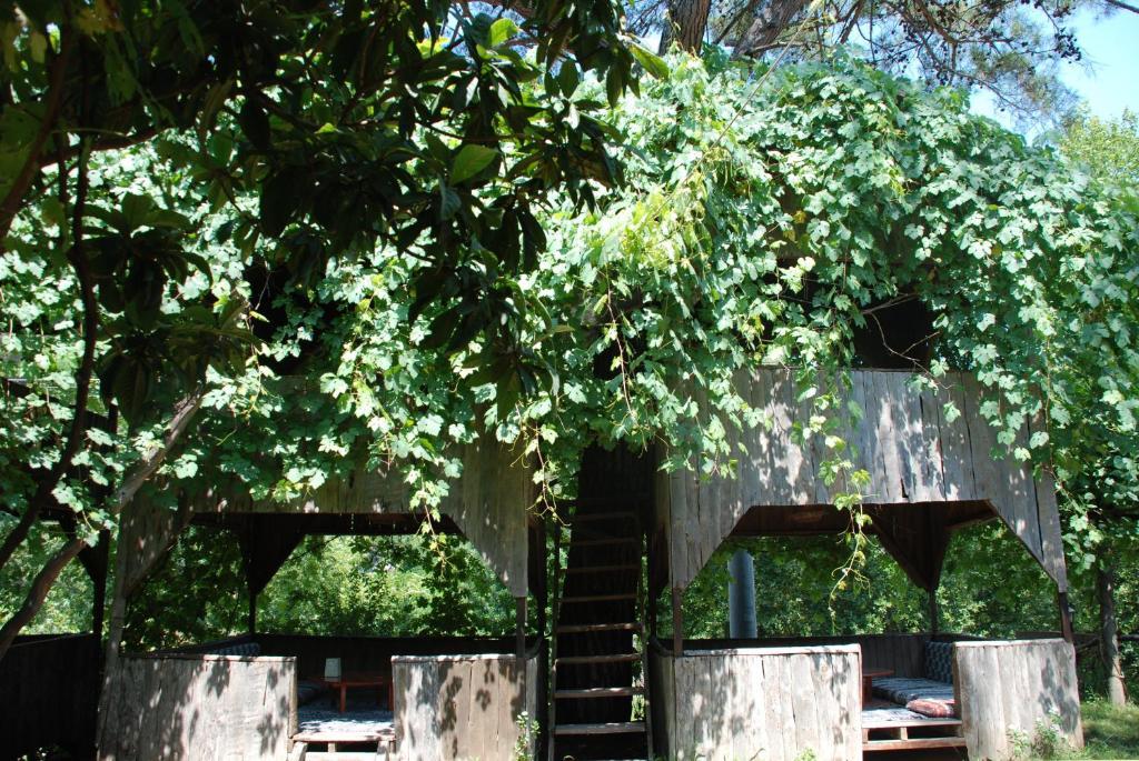 Olympos Camlik Pension Luaran gambar