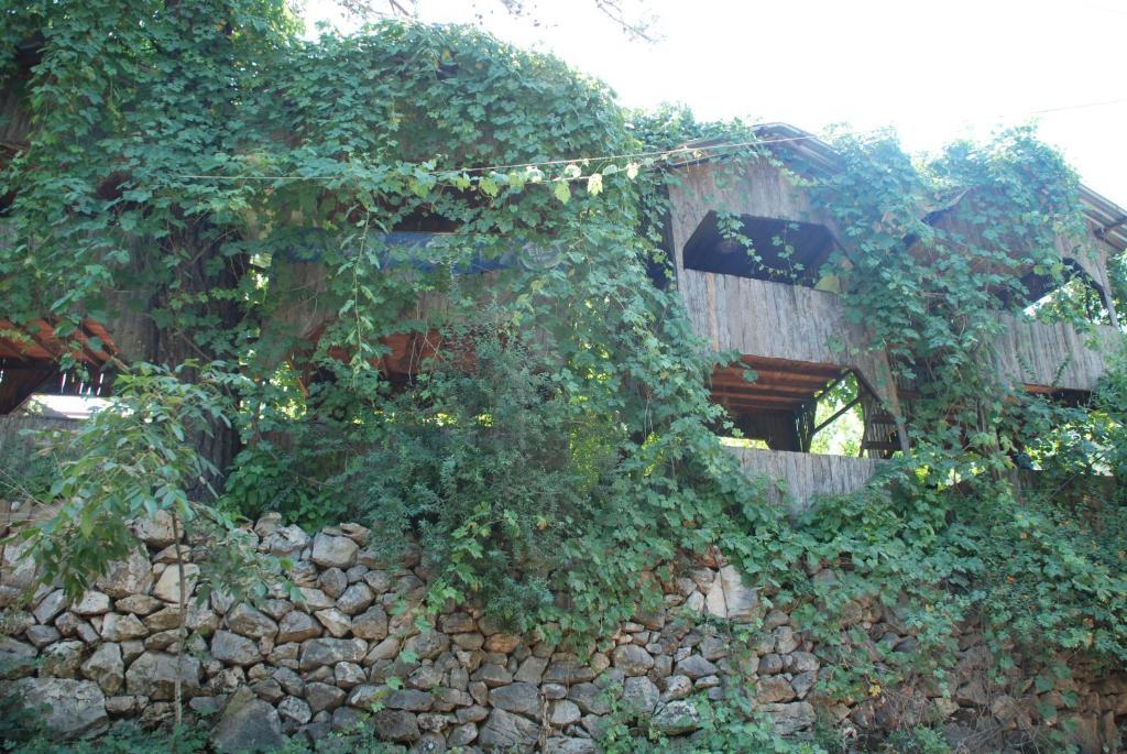Olympos Camlik Pension Luaran gambar